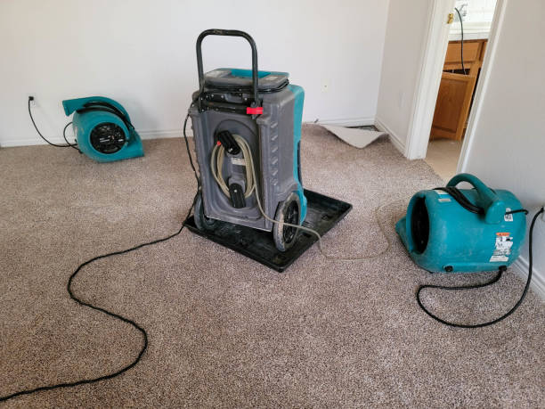 Best Flooded house restoration  in Pekin, IL