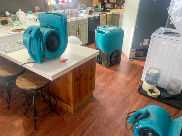 Best Water damage cleanup near me  in Pekin, IL
