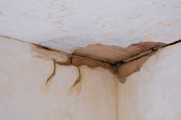 Best Basement water damage restoration  in Pekin, IL