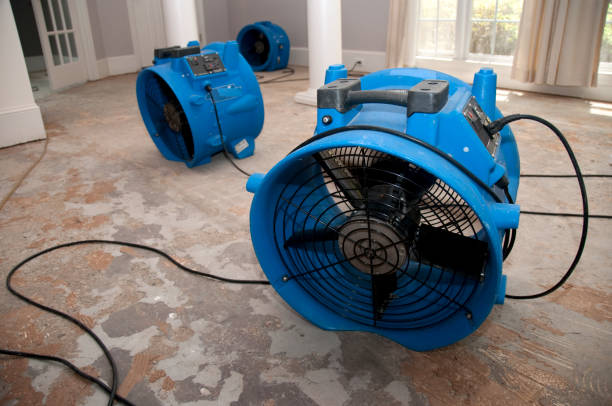 Best Sewage cleanup and water damage restoration  in Pekin, IL