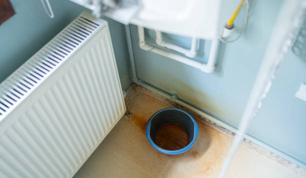 Best Professional water damage repair  in Pekin, IL